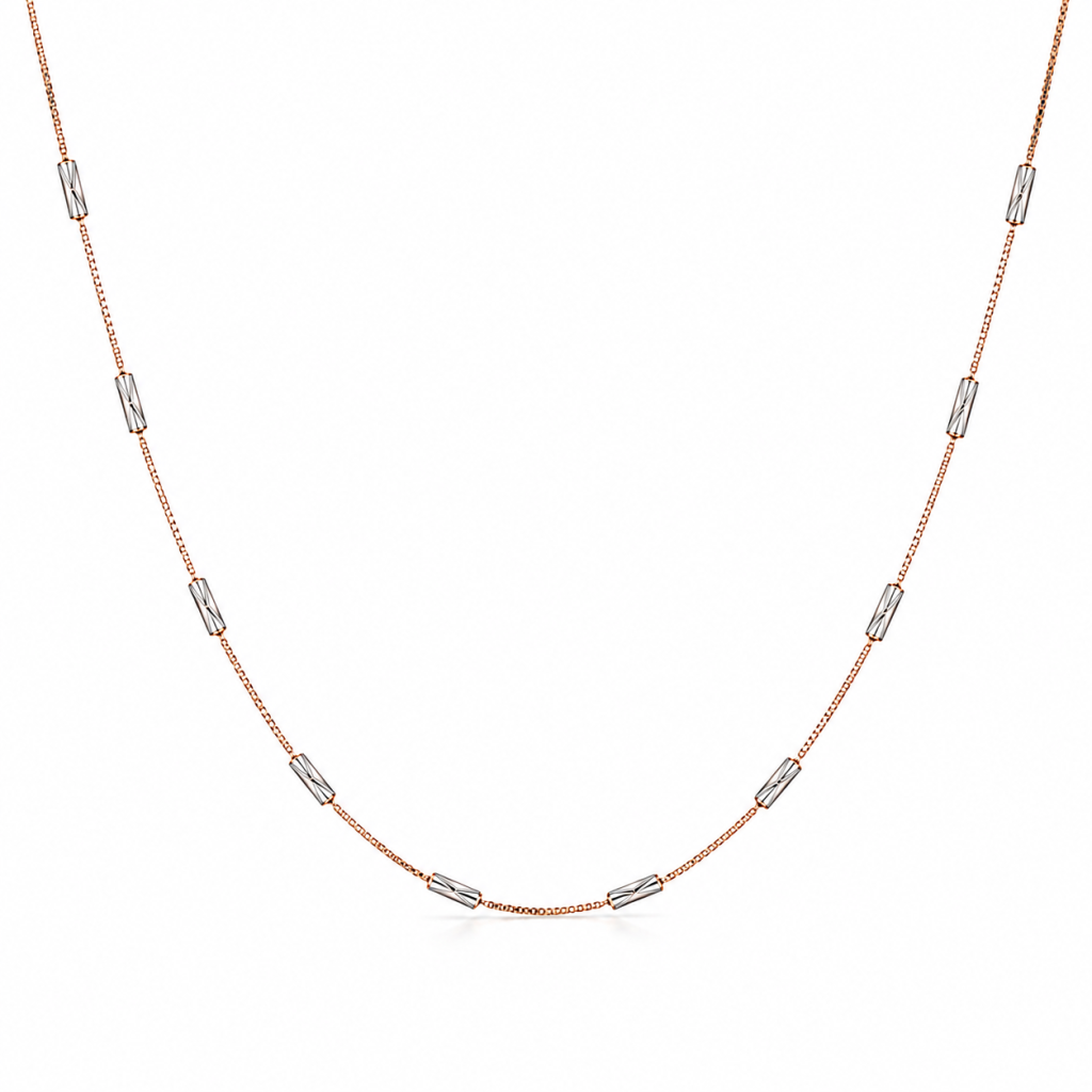 JAINIKA Celeste Duo-Tone Beaded Chain Necklace — View 1