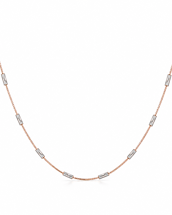 JAINIKA Celeste Duo-Tone Beaded Chain Necklace