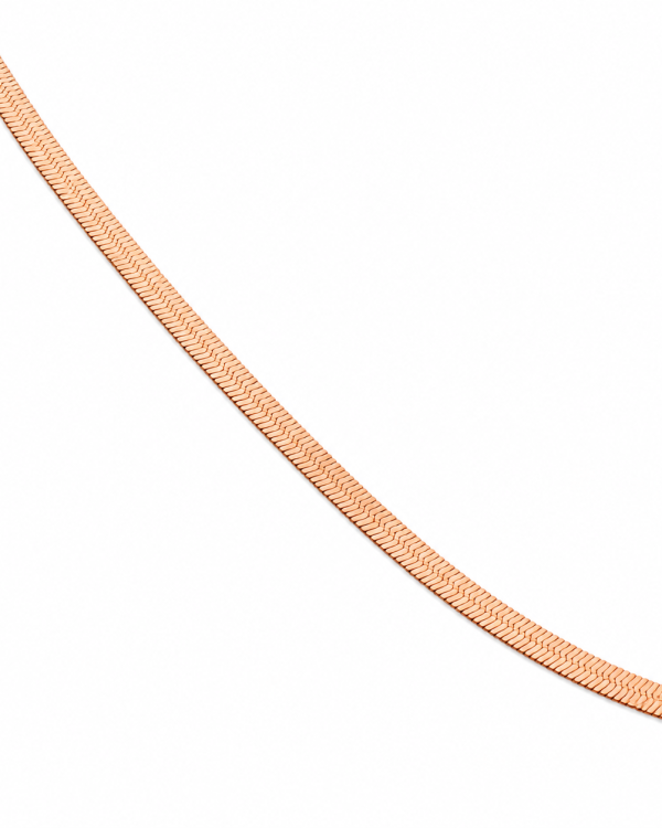 JAINIKA Aurora Herringbone Chain — styled view